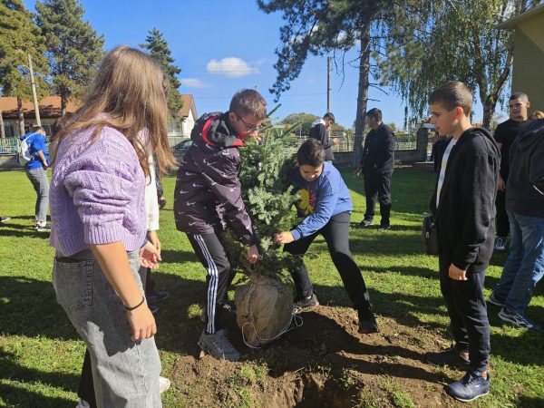 В Шабла засадиха дръвчета по повод кампанията Бъди смел, бъди добър